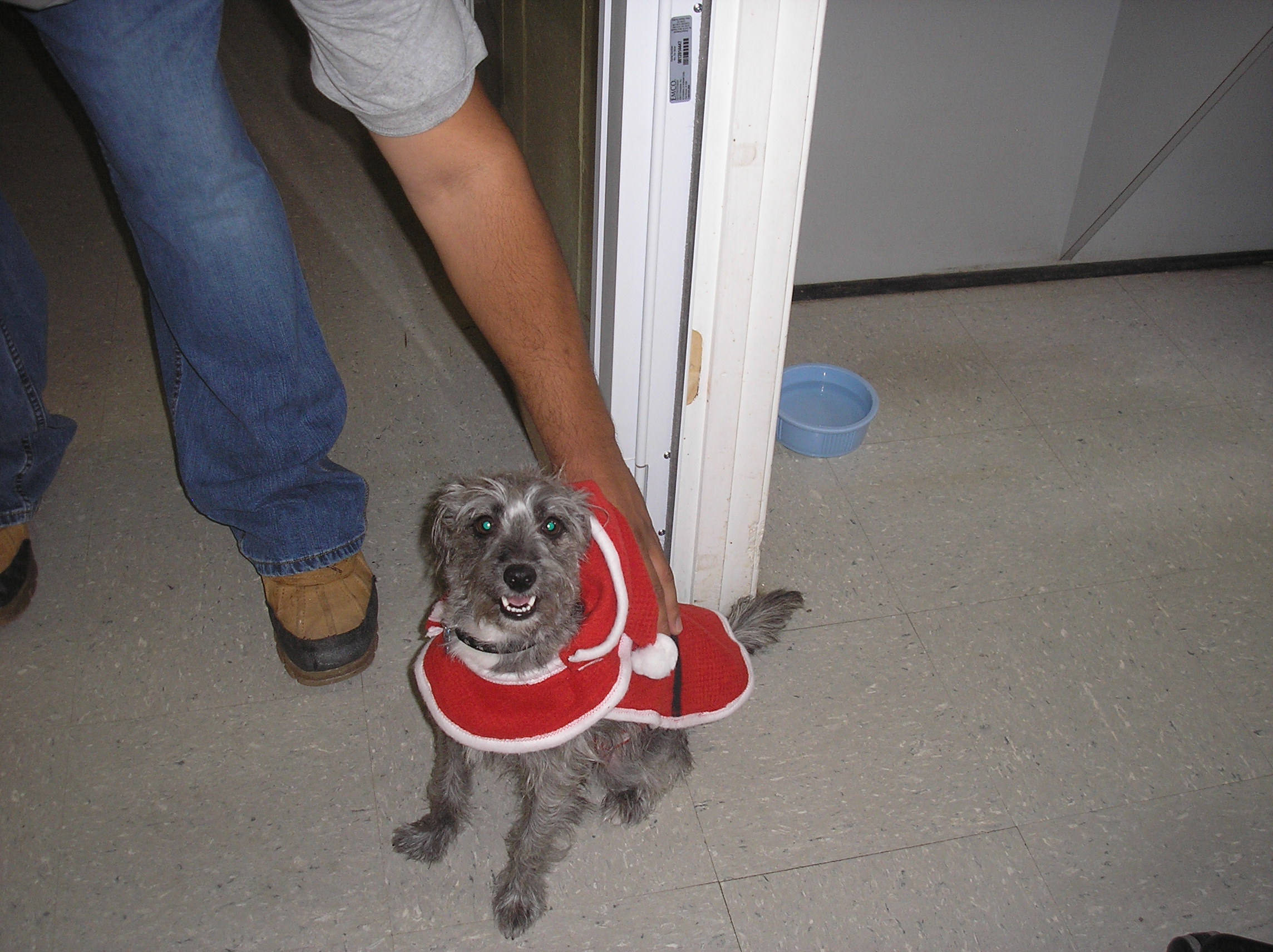 Click picture to ZOOM