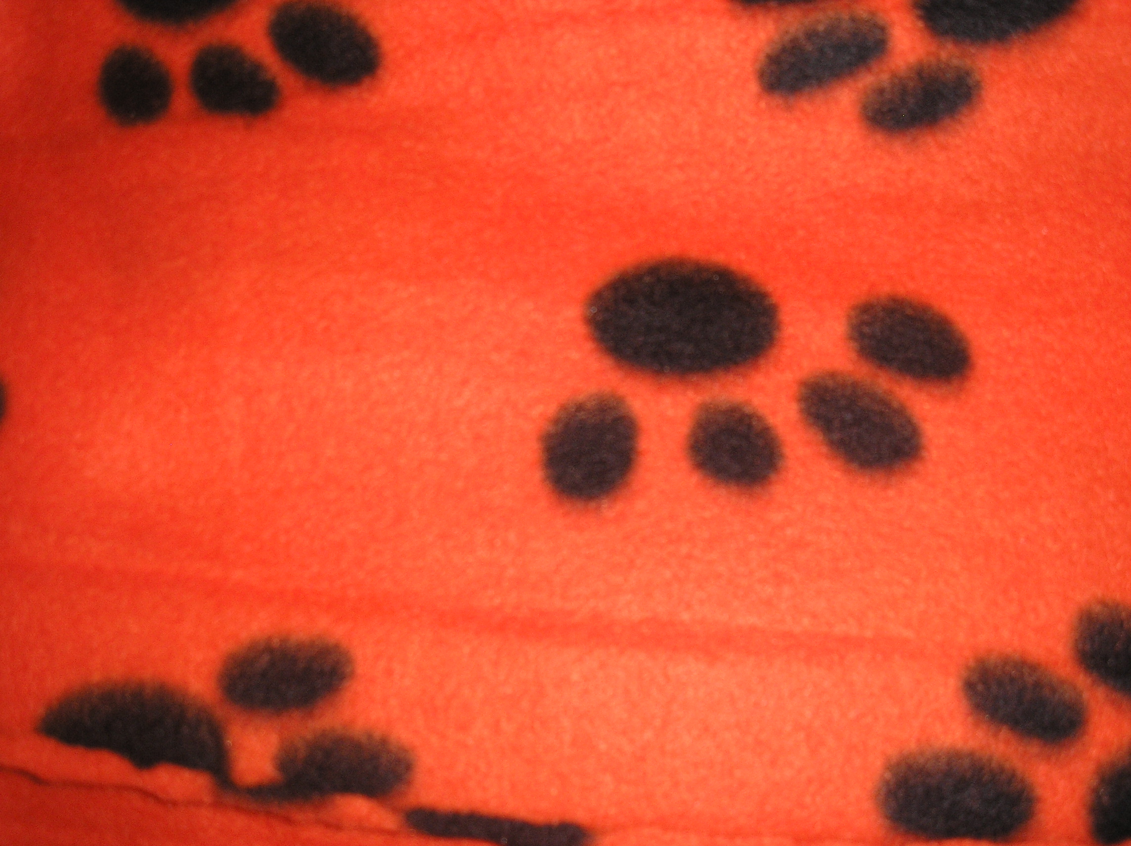 orange paw print