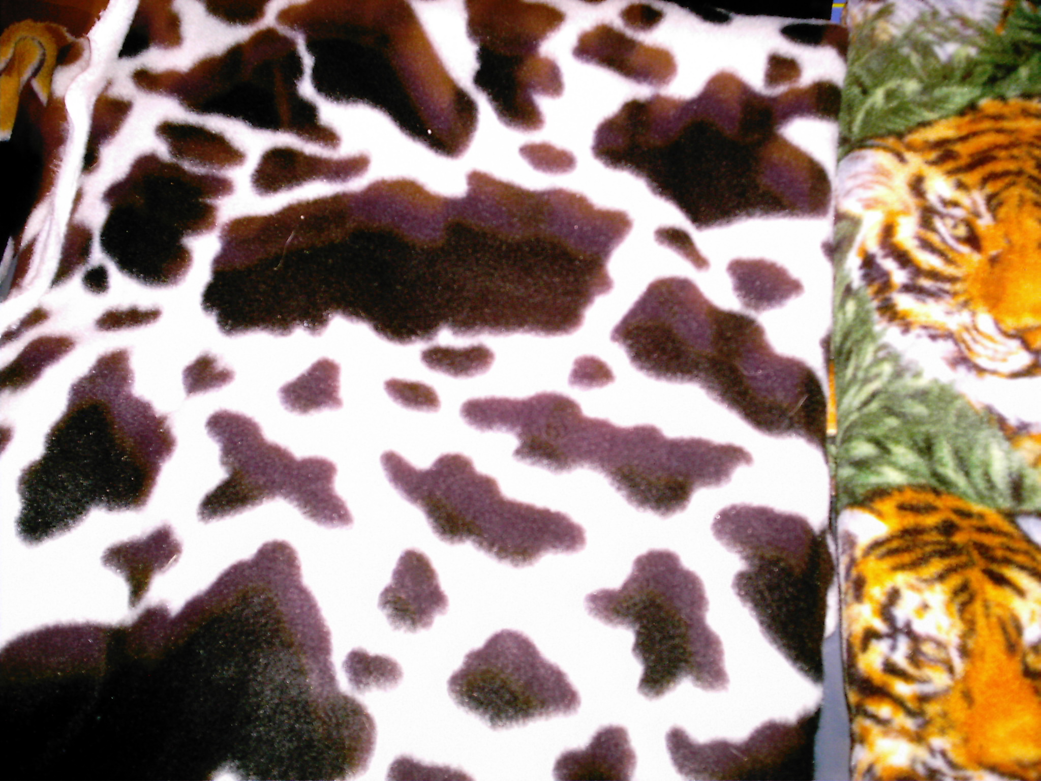 cow print