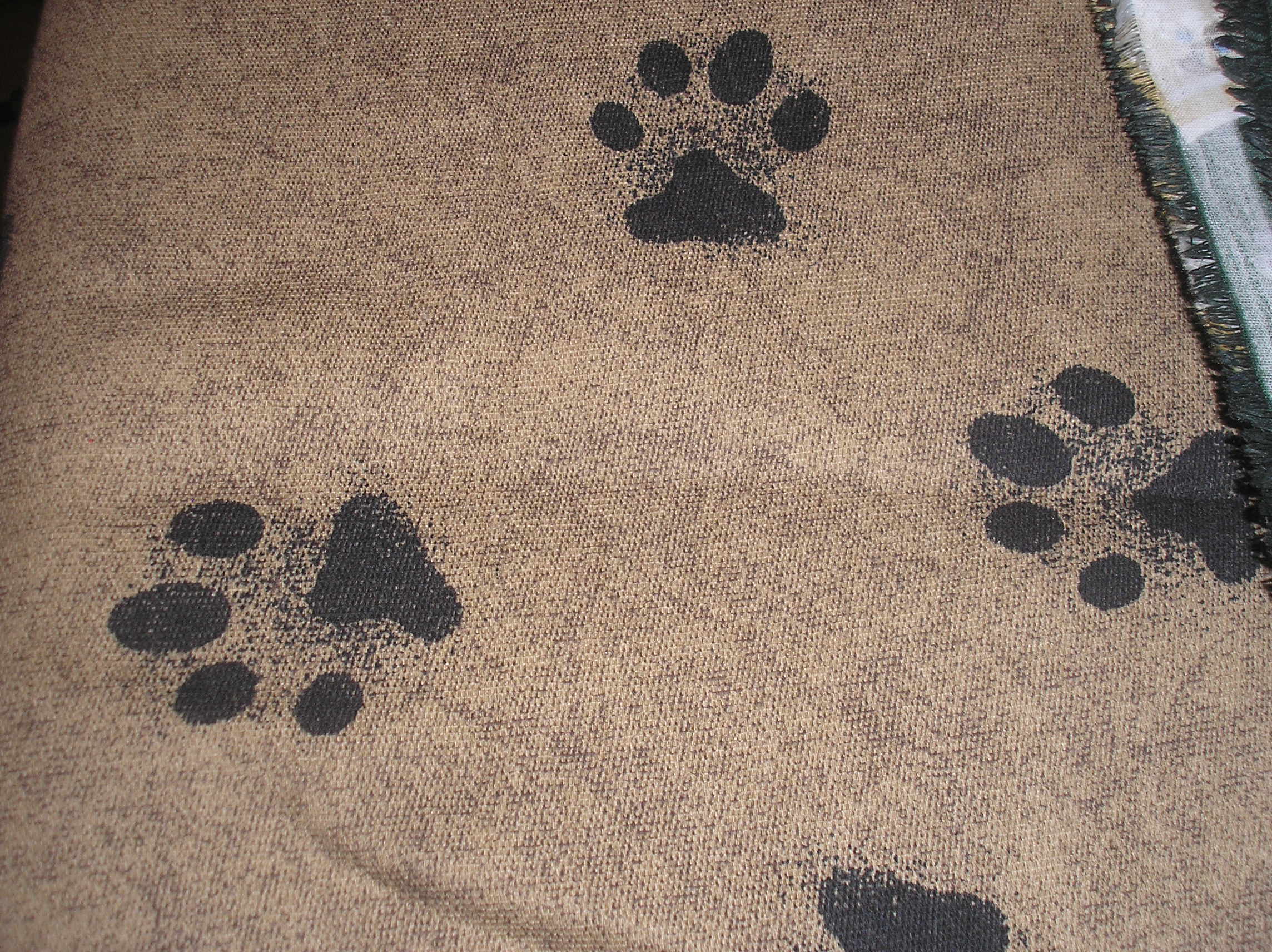 large paw prints 